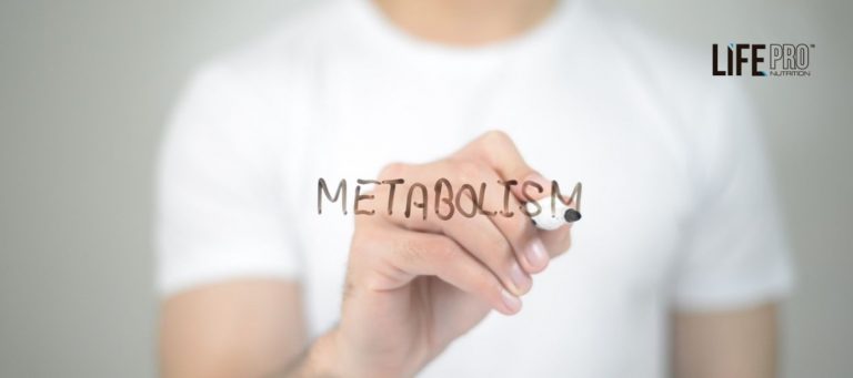 el metabolismo basal