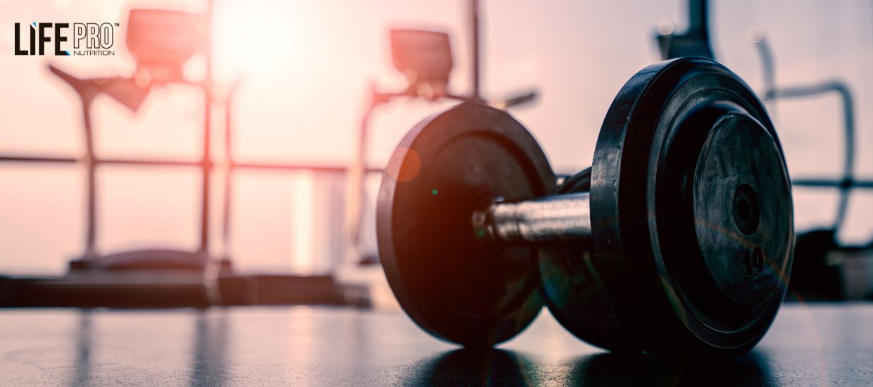 Hybrid Workout Life Pro