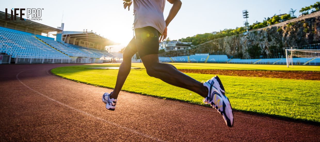 Hybrid Workout Life Pro